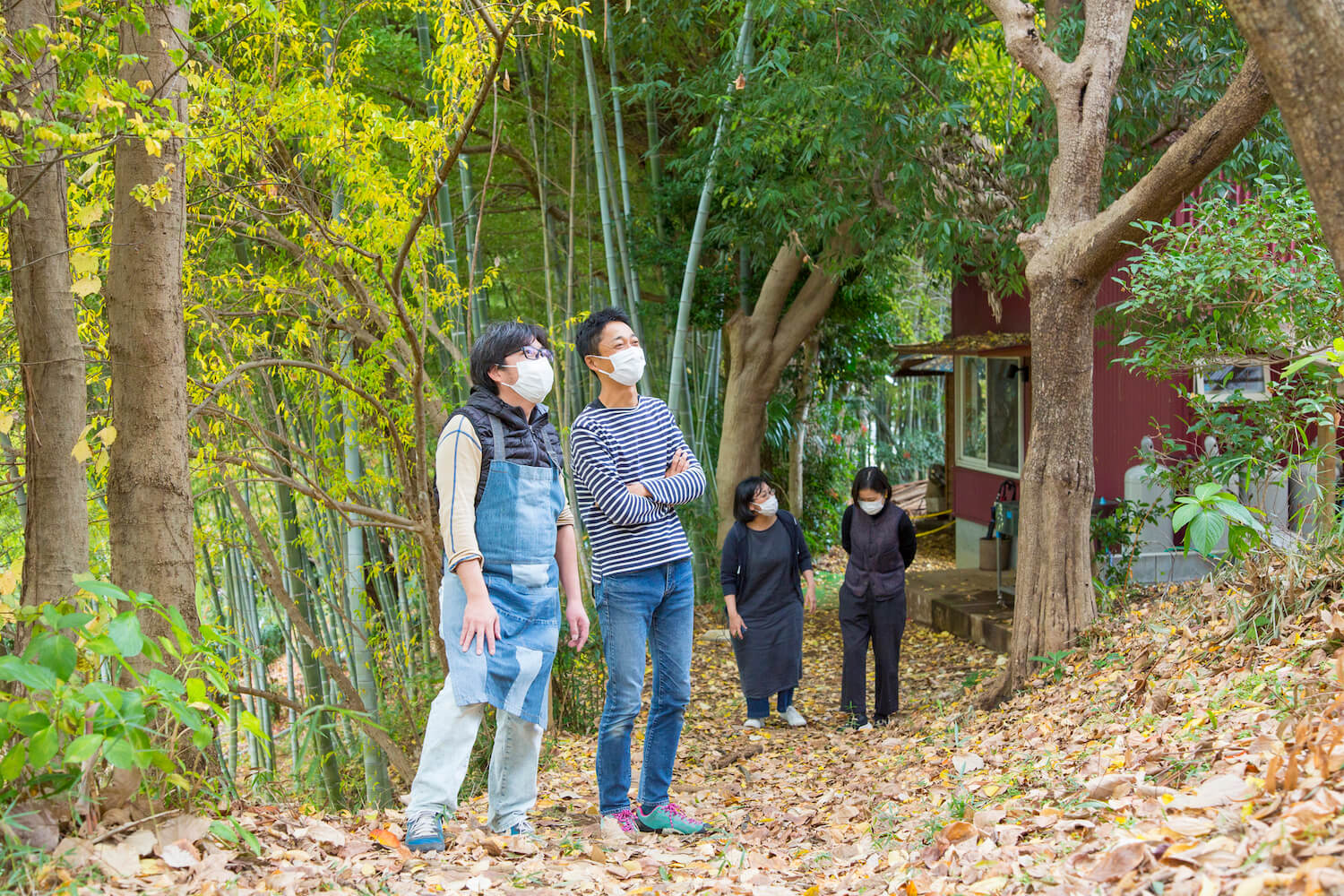 メインビジュアル5